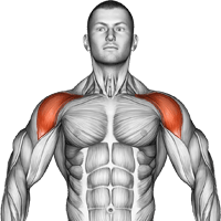 Перед